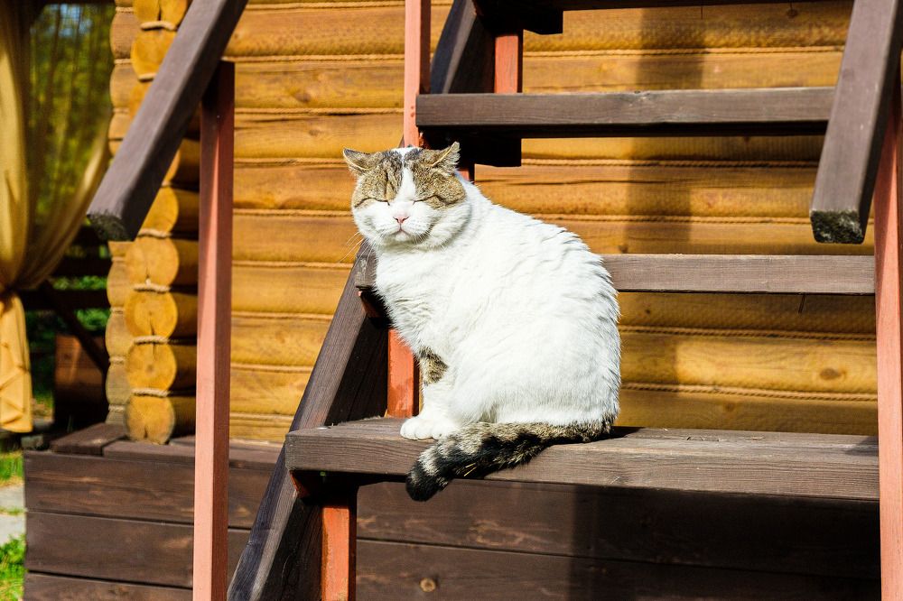 Photograph by Александр Потапов