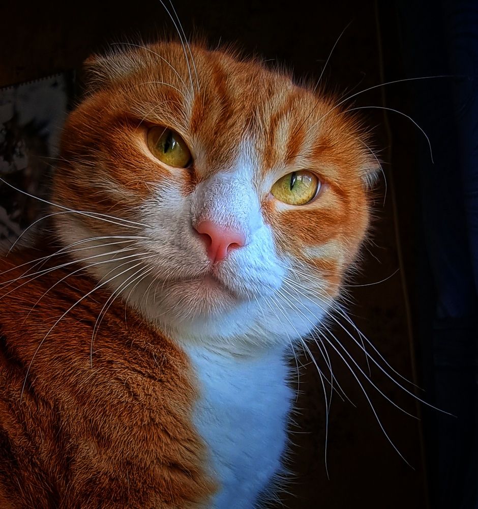 Photograph by Василий