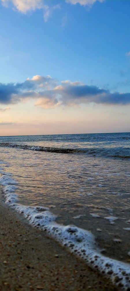 Photo #8996042