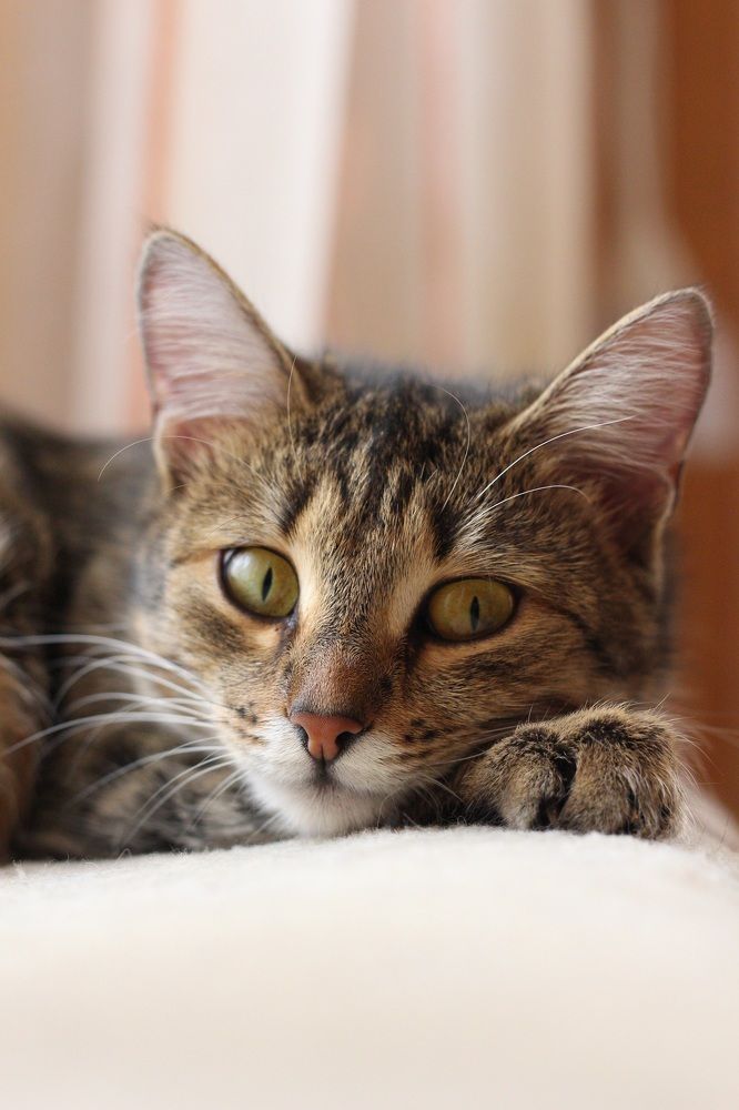 Photograph by Вася Кадочников