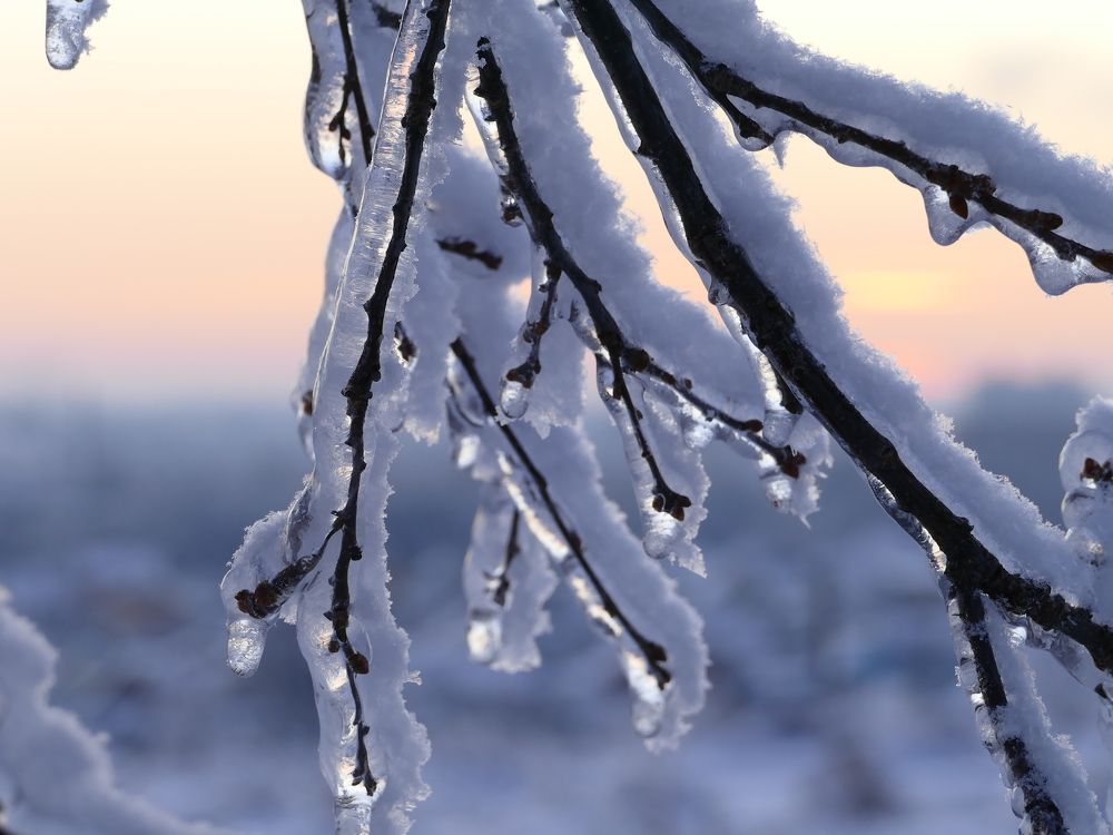 Photograph by Александр Кизим