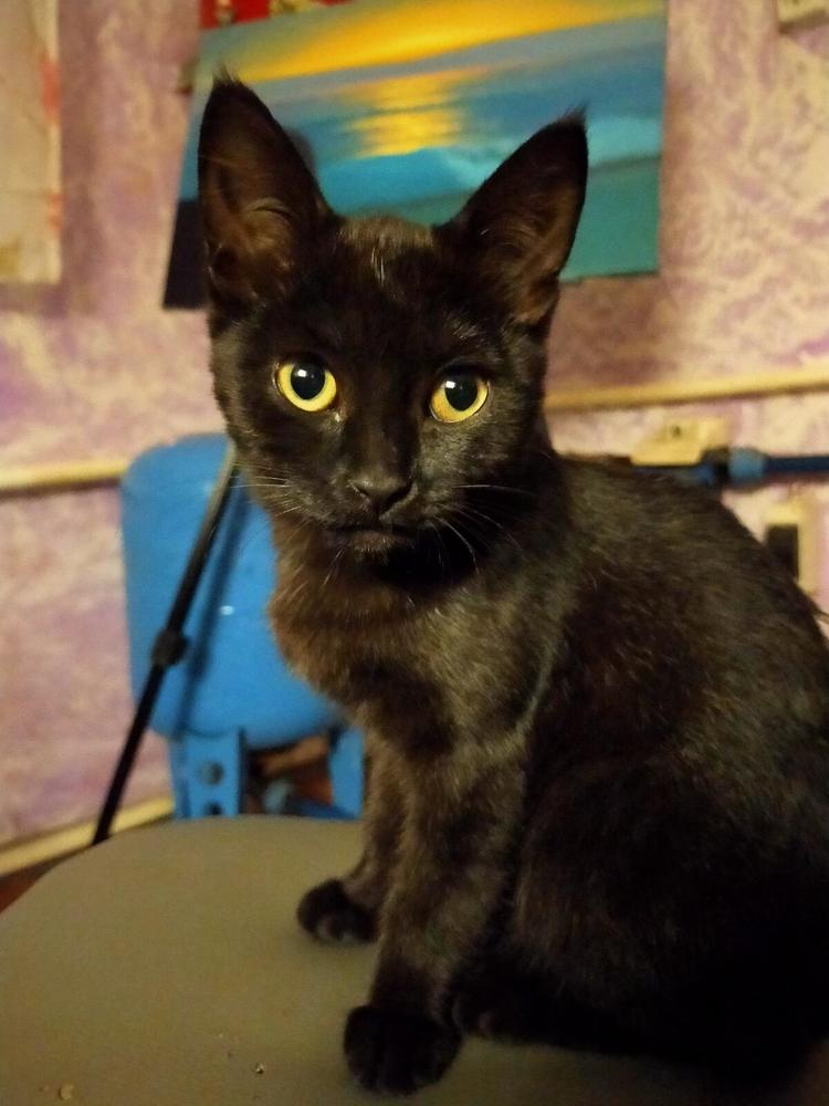 Photograph by Оксана Макарова