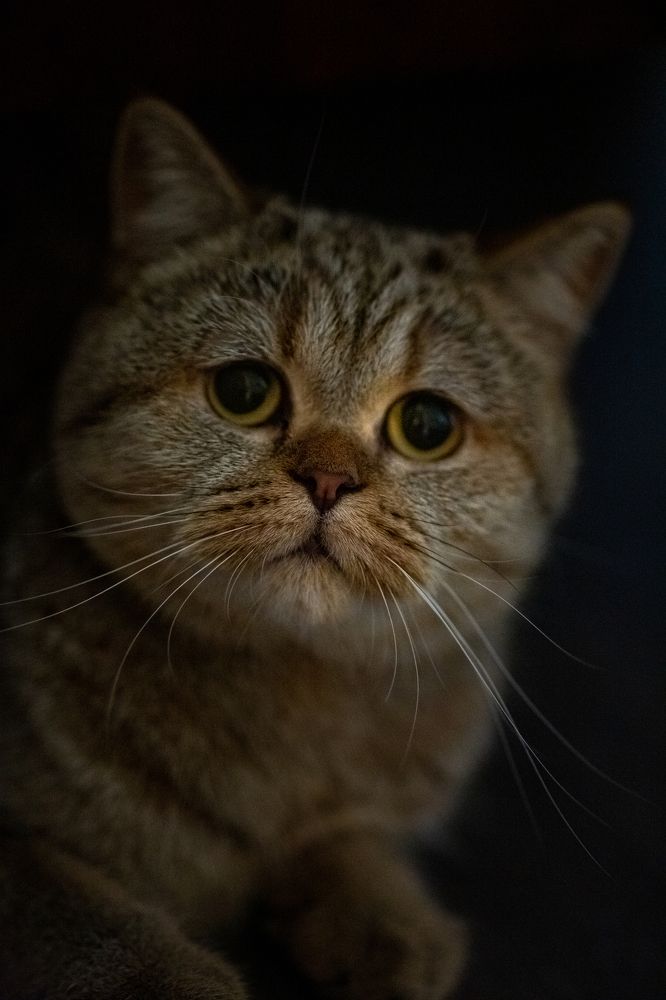 Photograph by Анна Гвоздовская