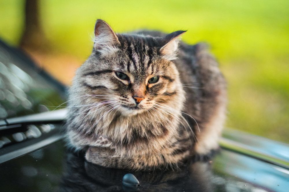 Photograph by Анна Гвоздовская