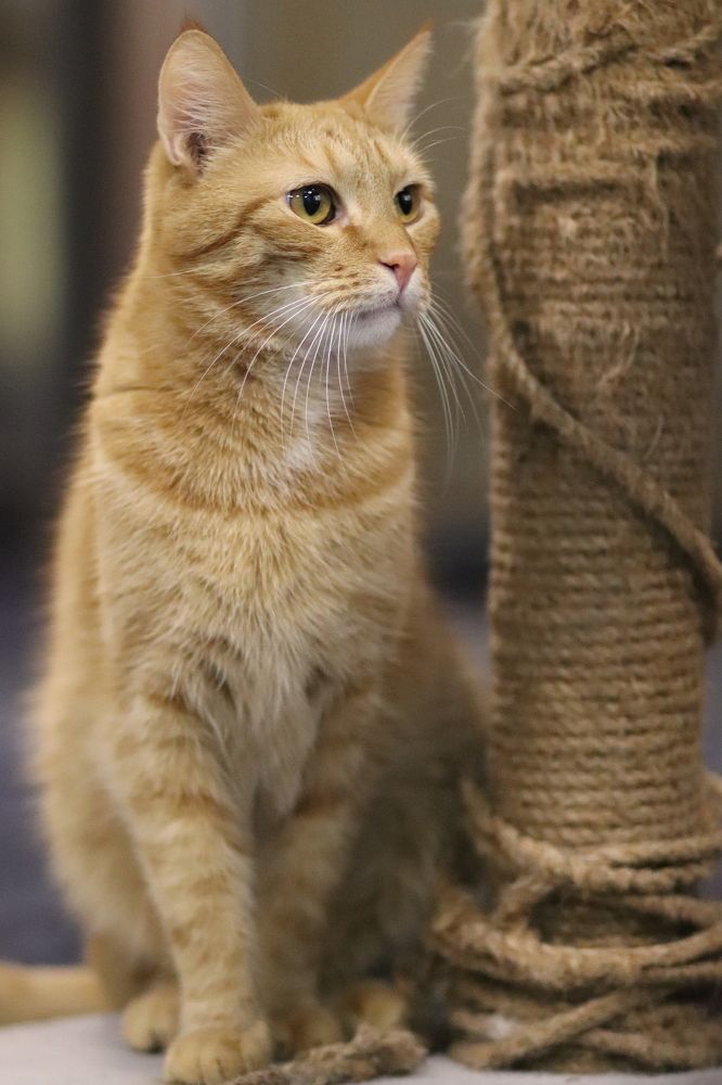 Photograph by Анна