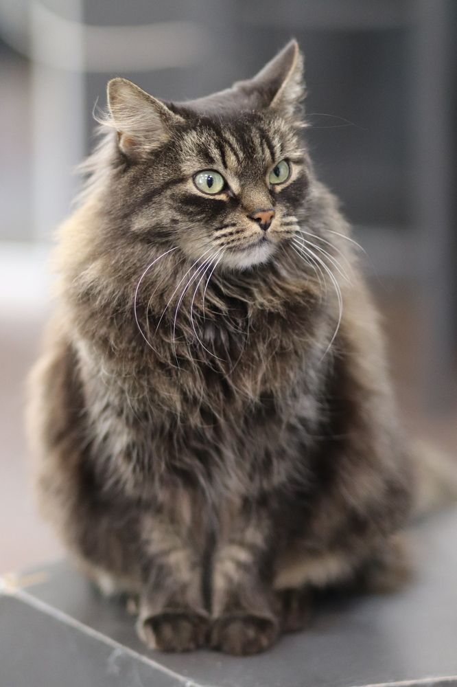 Photograph by Анна