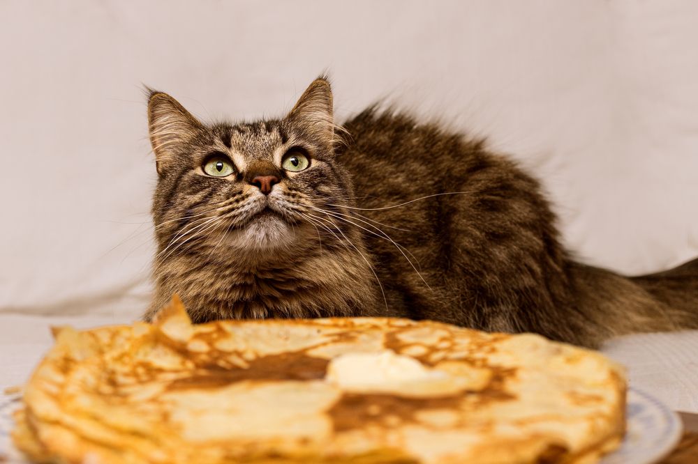 Photograph by Елена Овчинникова