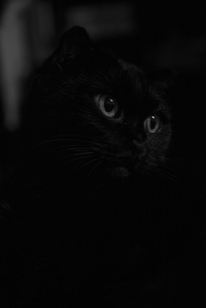 Photograph by Balashova Julia