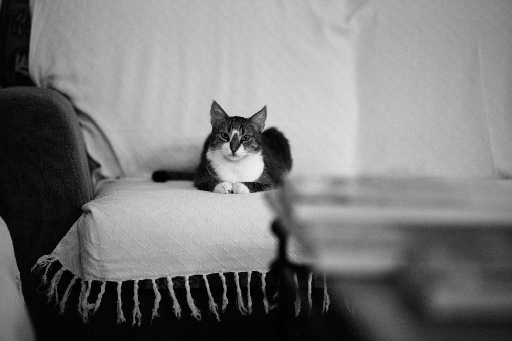 Photograph by Riffaud Jean-Paul