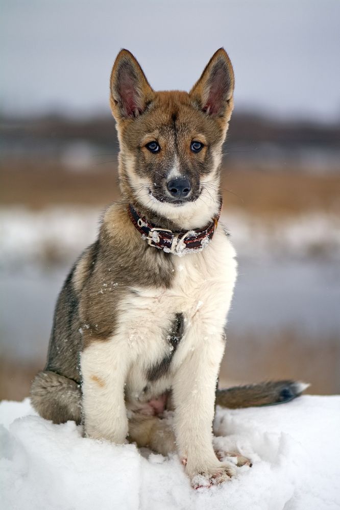 Photograph by Юрий Митенёв