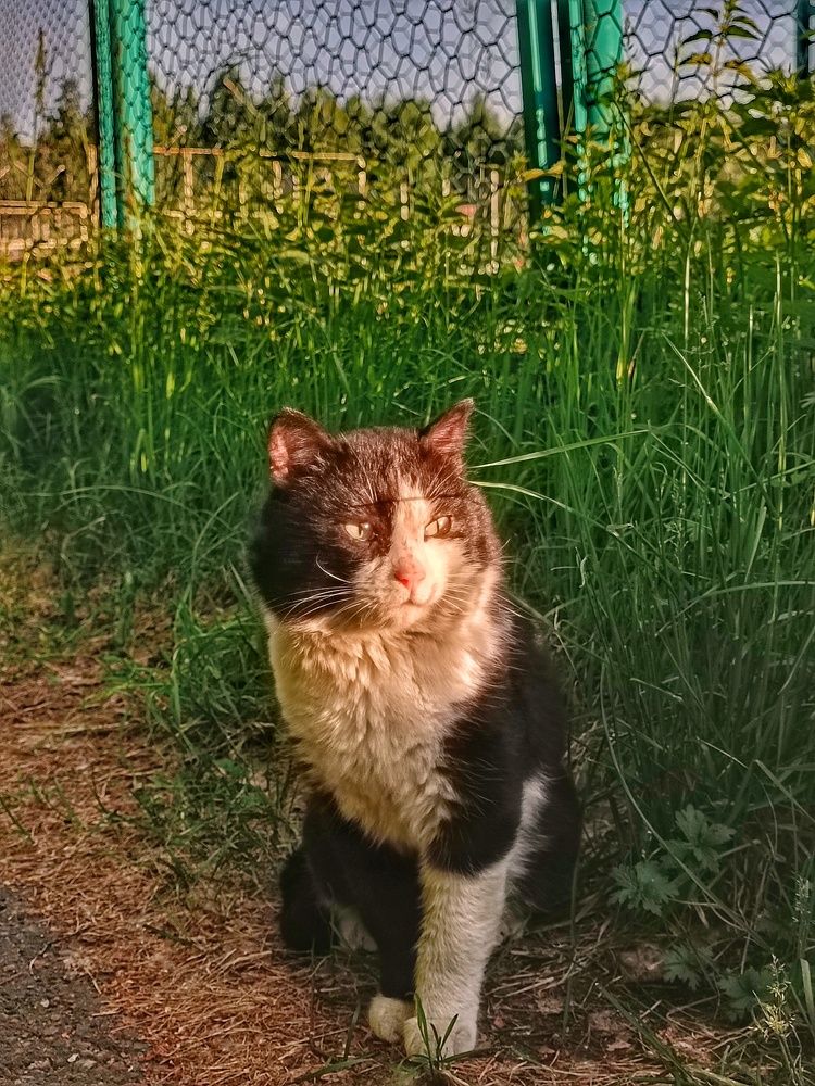 Photograph by Татьяна Cамсонова