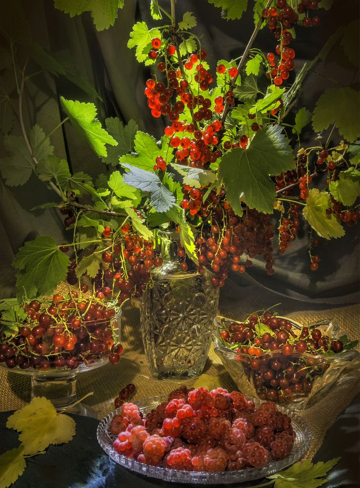 Фотография автора Milena Ivanova