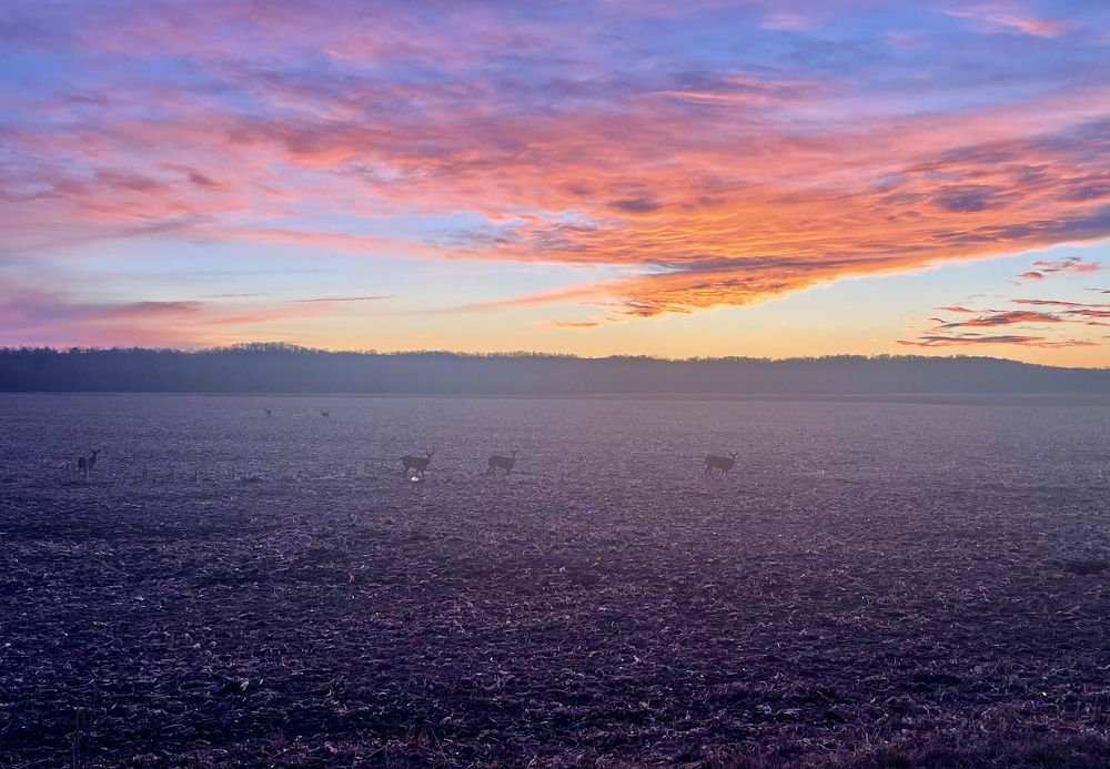 Photograph by Tyler Dewees