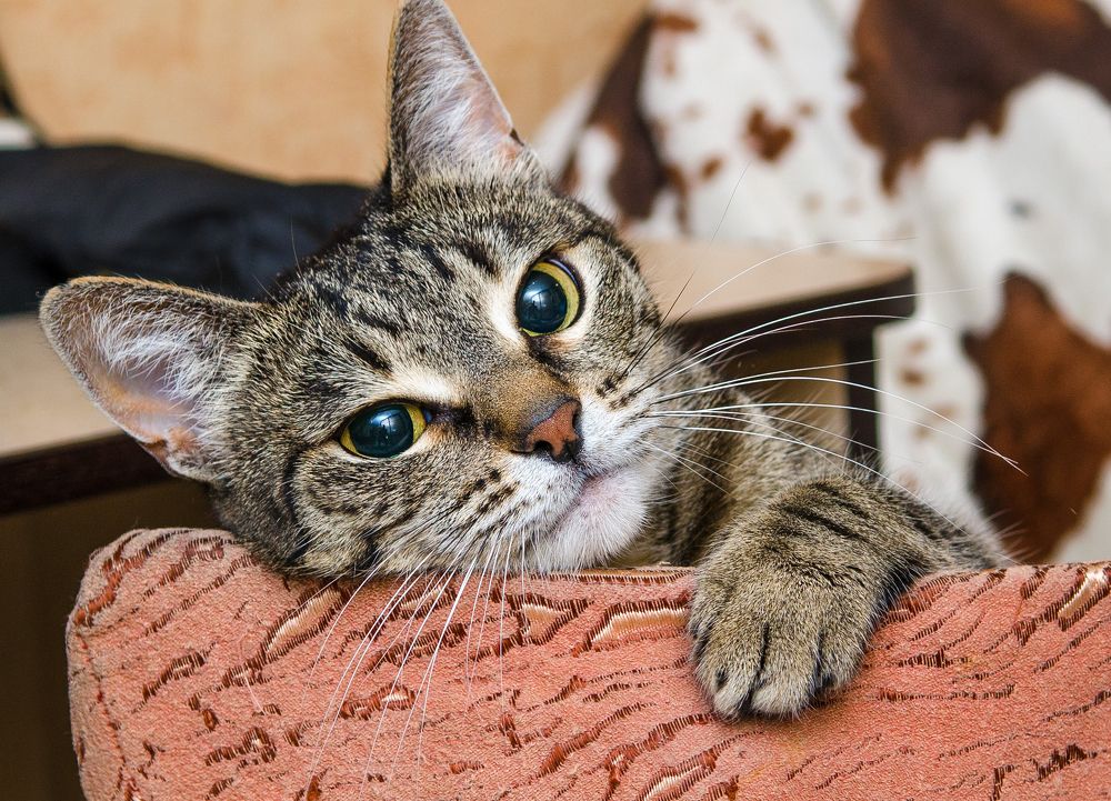 Photograph by Батурин Геннадий