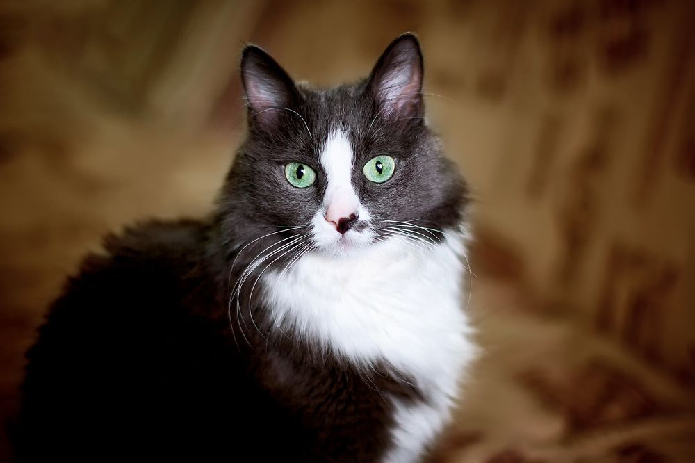 Photograph by Сергей Лисов