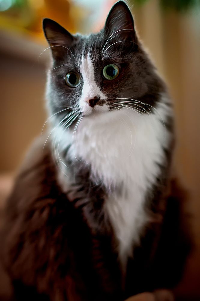 Photograph by Сергей Лисов