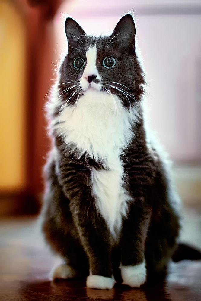 Photograph by Сергей Лисов