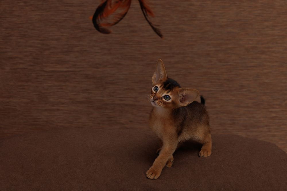 Photograph by Вероника Хведук