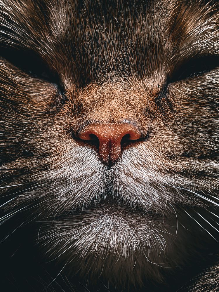 Фотография автора Пётр Чирков