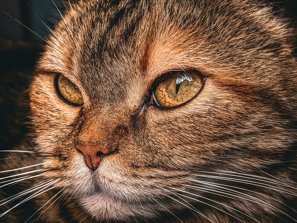 Фотография автора Пётр Чирков