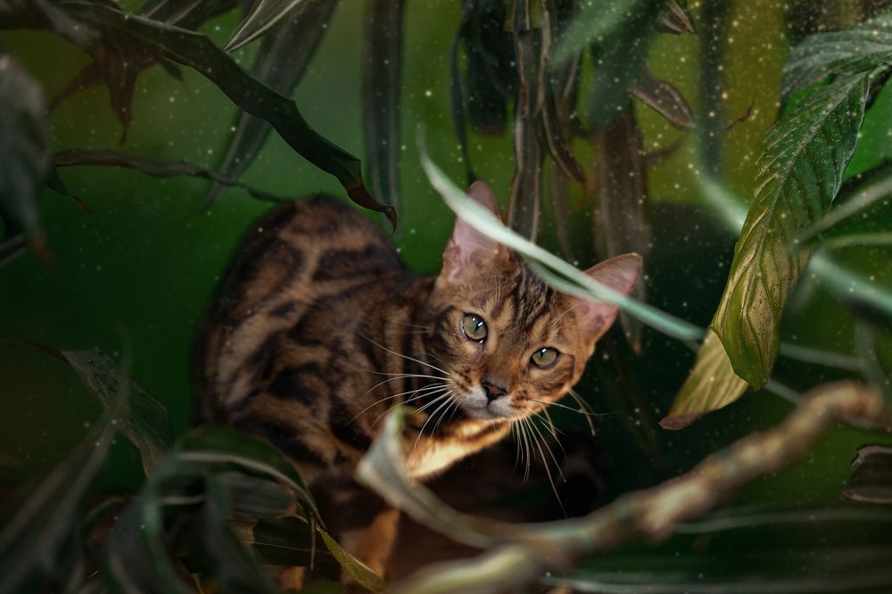 Photograph by Екатерина Морозова