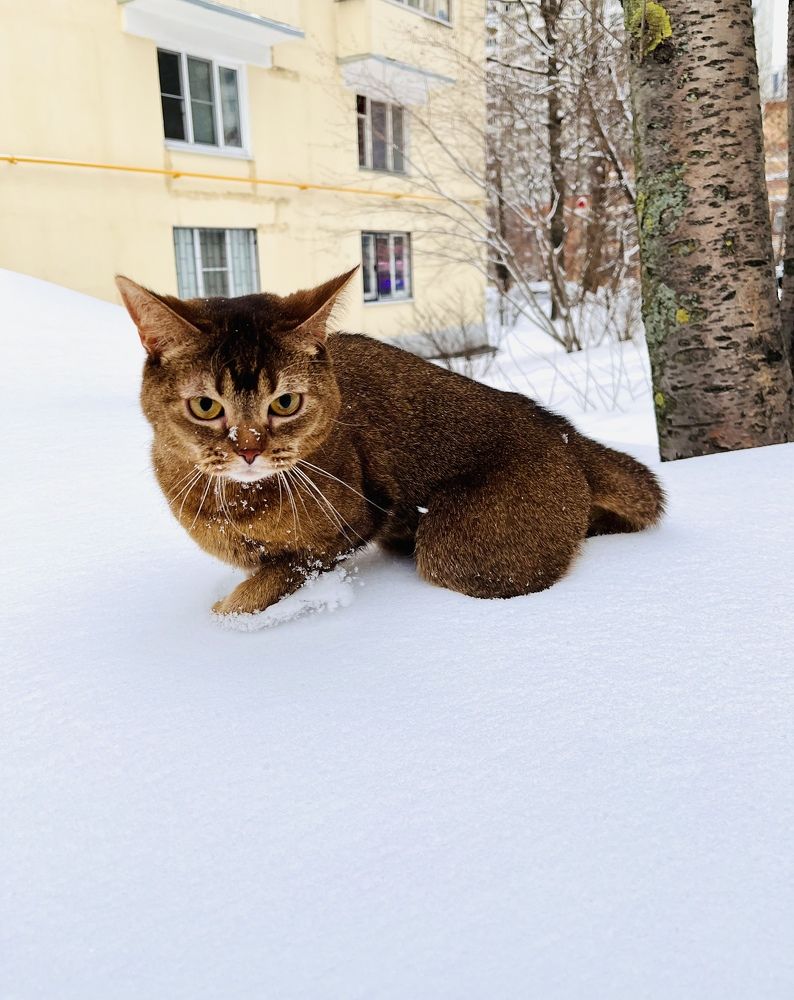 Photograph by Елена Эделева