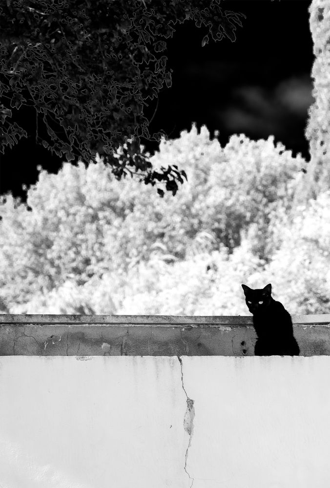 Photograph by Jose Carvalho