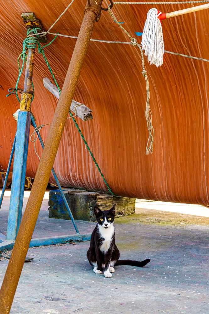 Photograph by Jose Carvalho