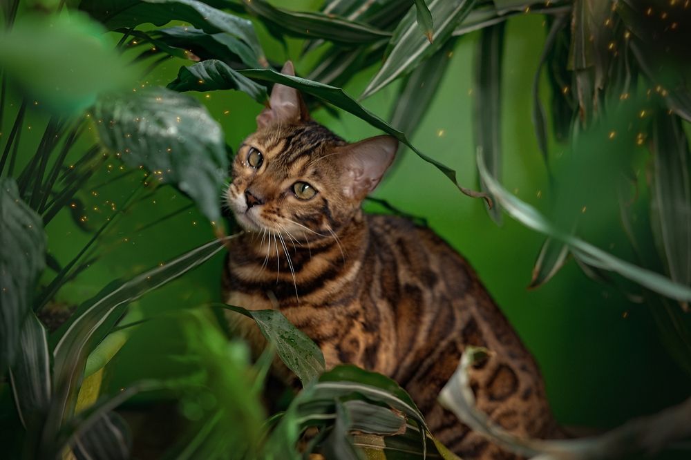 Photograph by Екатерина Морозова