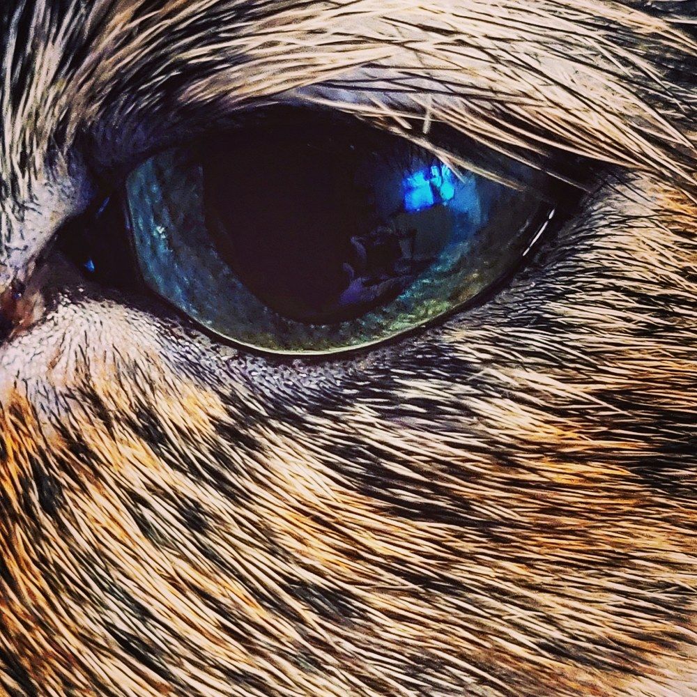 Photograph by Egita Bebrite