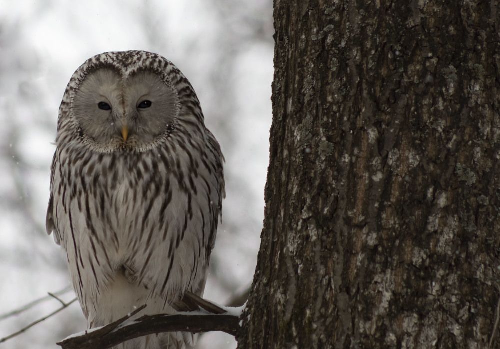 Photograph by Вера Почкалина