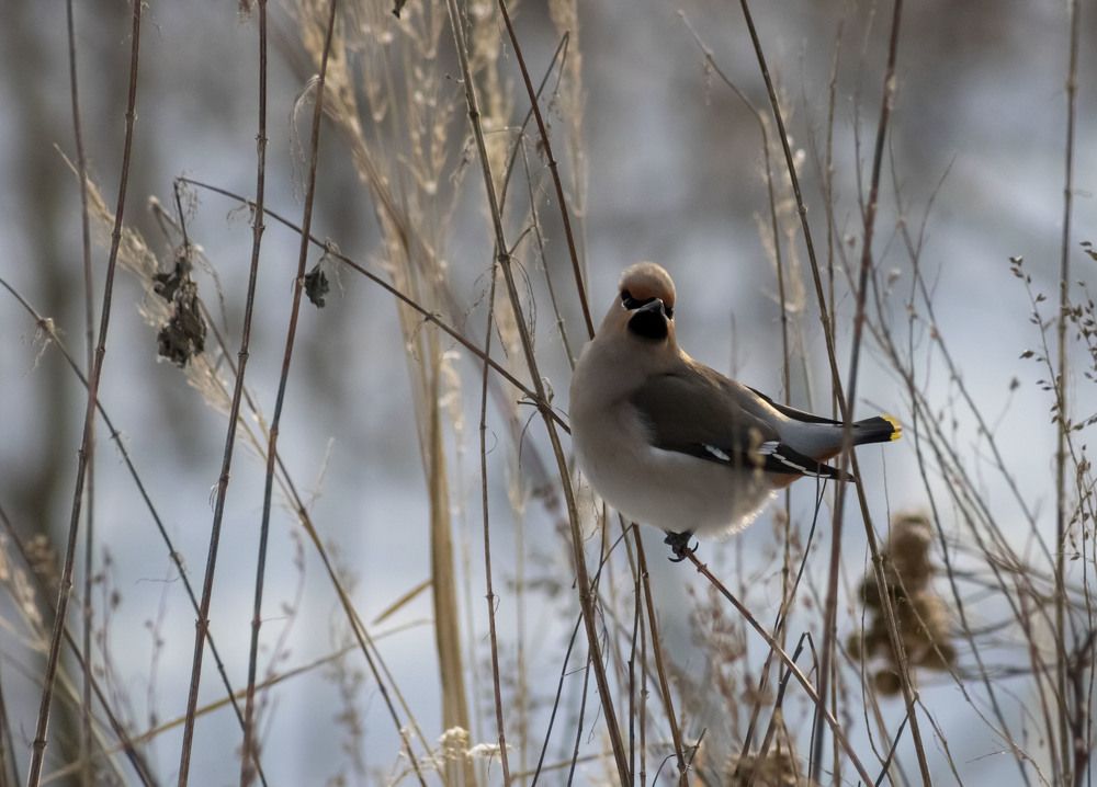 Photograph by Вера Почкалина