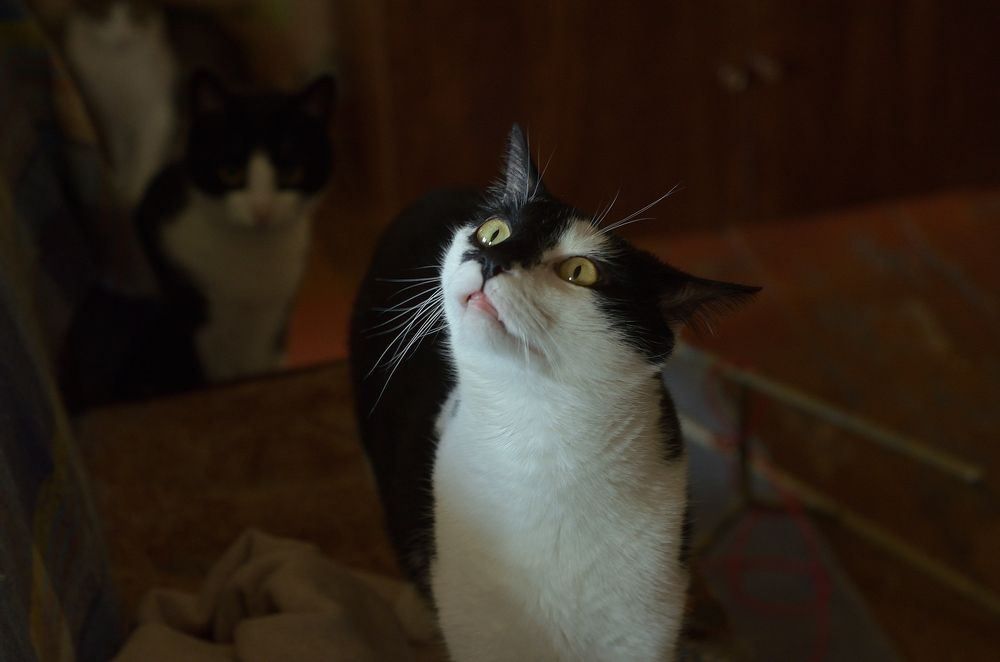 А мы, приютские, тоже – о-го-го!