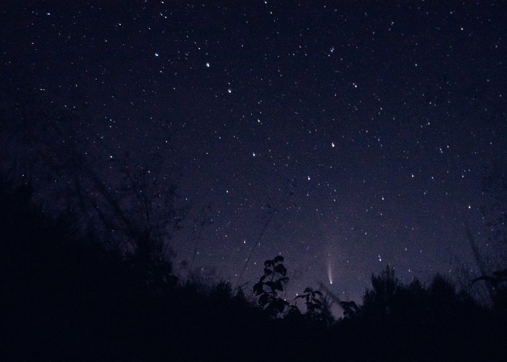 Photograph by smirnova sofya