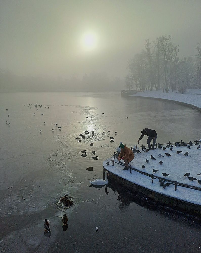 Photo #8996496