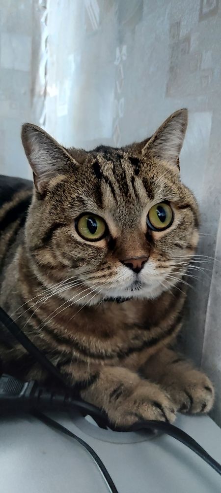 Photograph by Валентин Волк