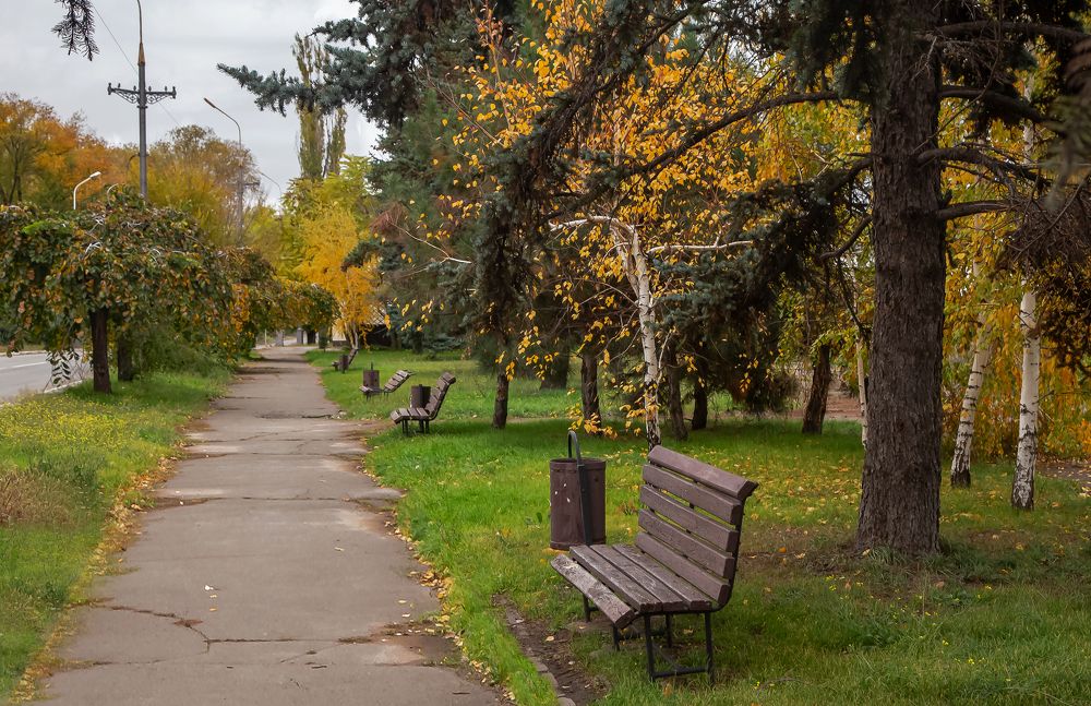 Дорога в осень!