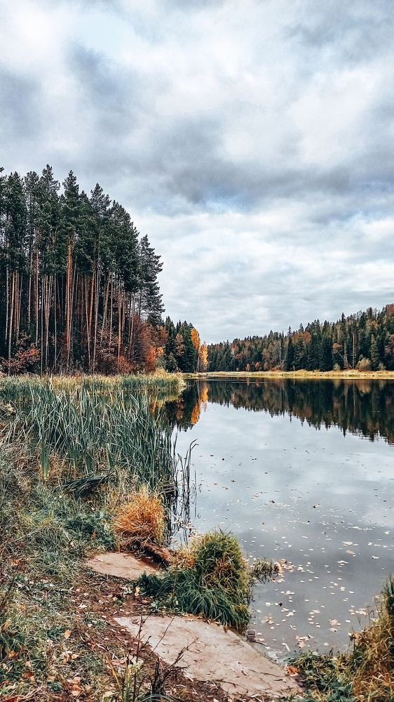 Photograph by Альбина Муртазина