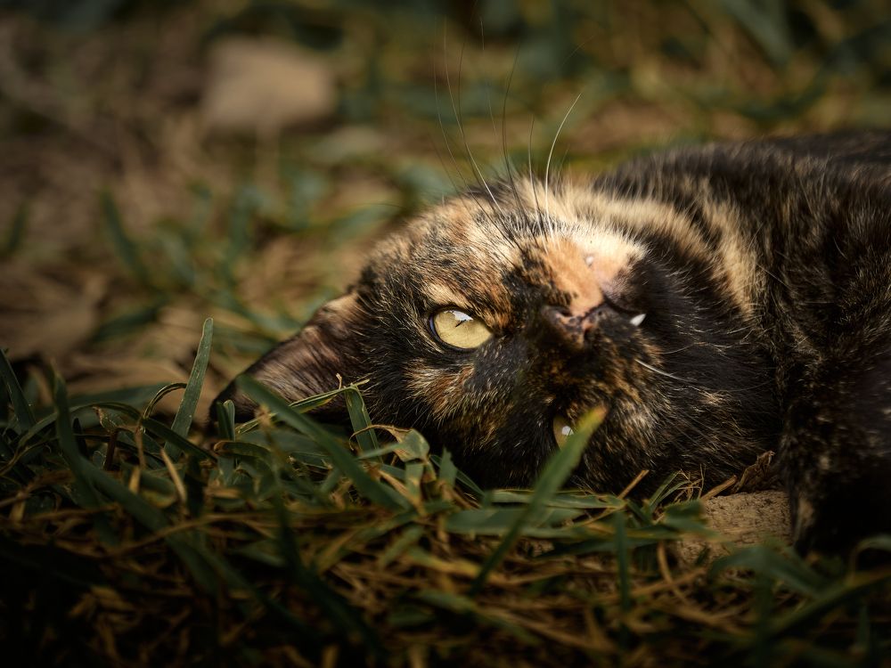 Photograph by javierdelpuerto_Photography