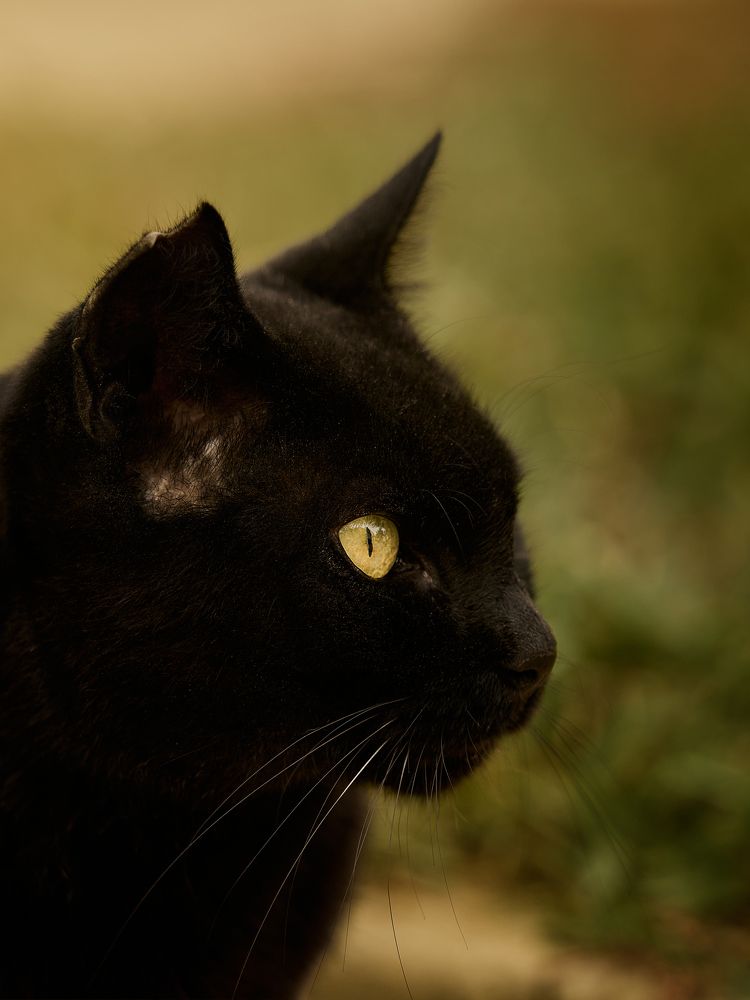 Photograph by javierdelpuerto_Photography