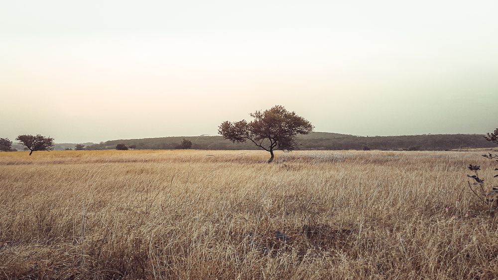 Photo #8996557