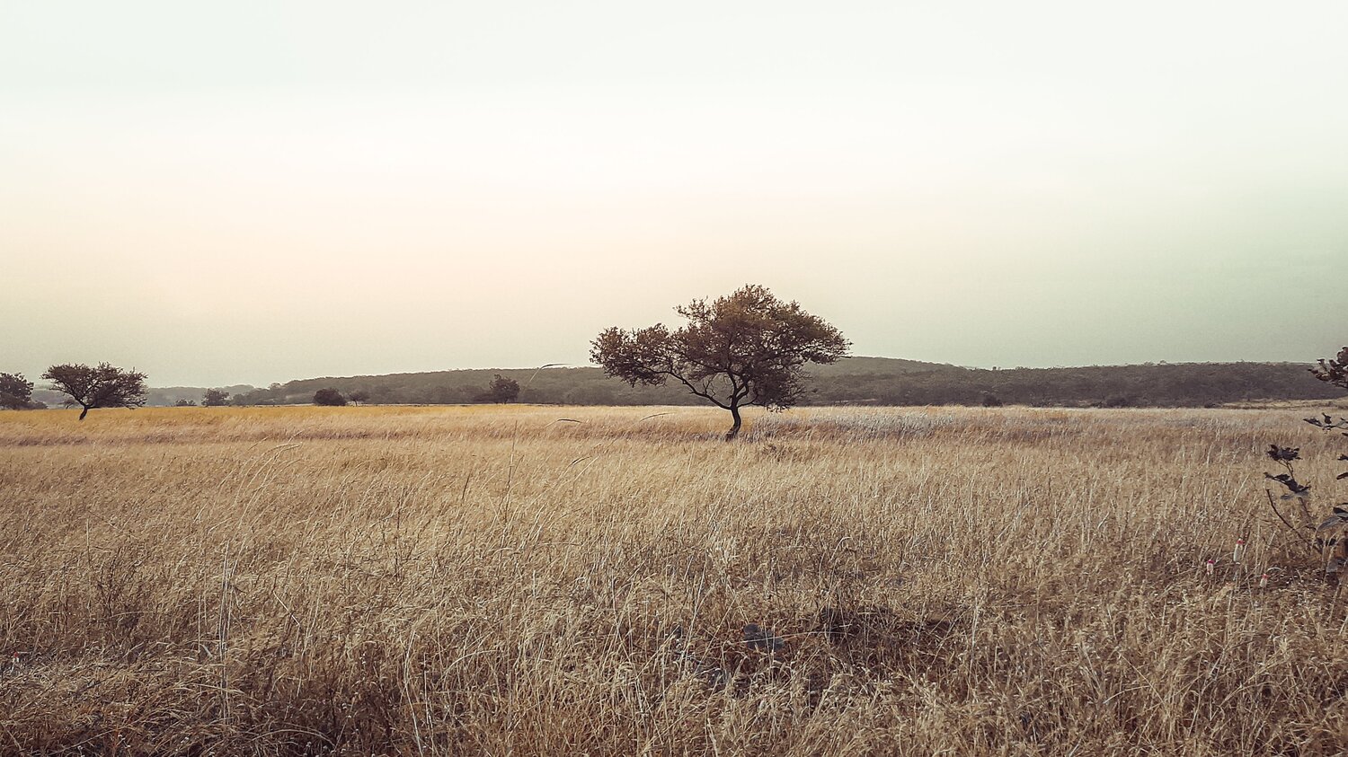 Photo #8996557