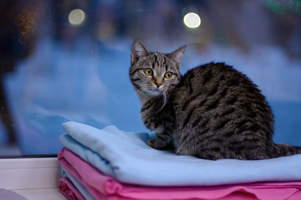 Photograph by Елена Берсенёва