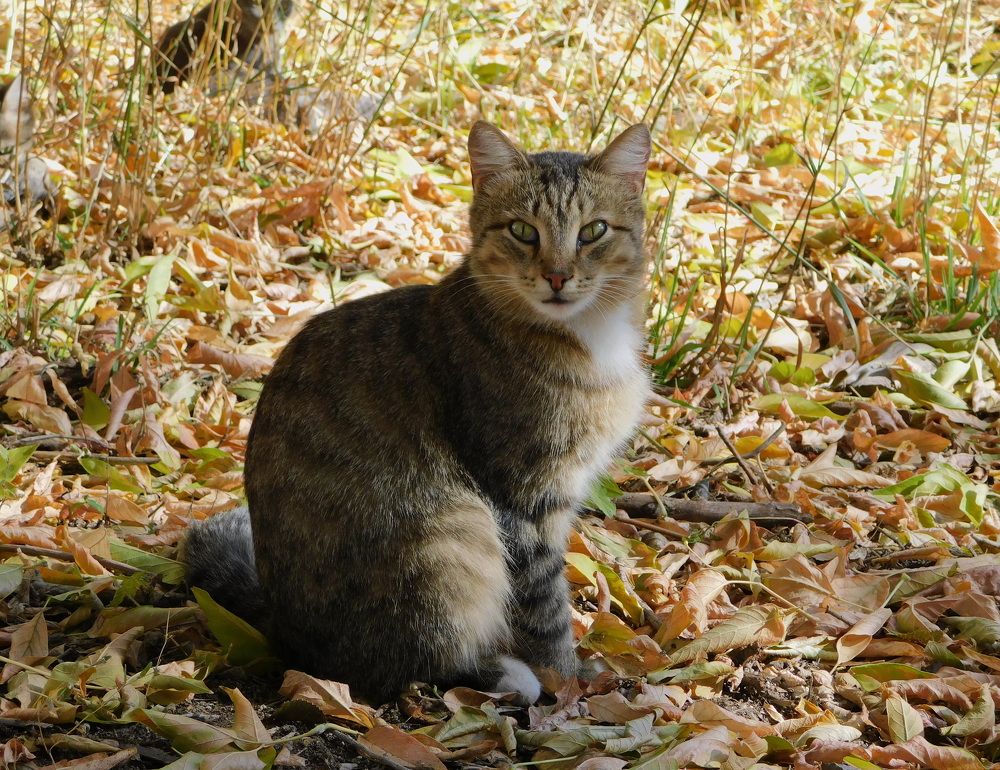 Photograph by Сергей Чеченов