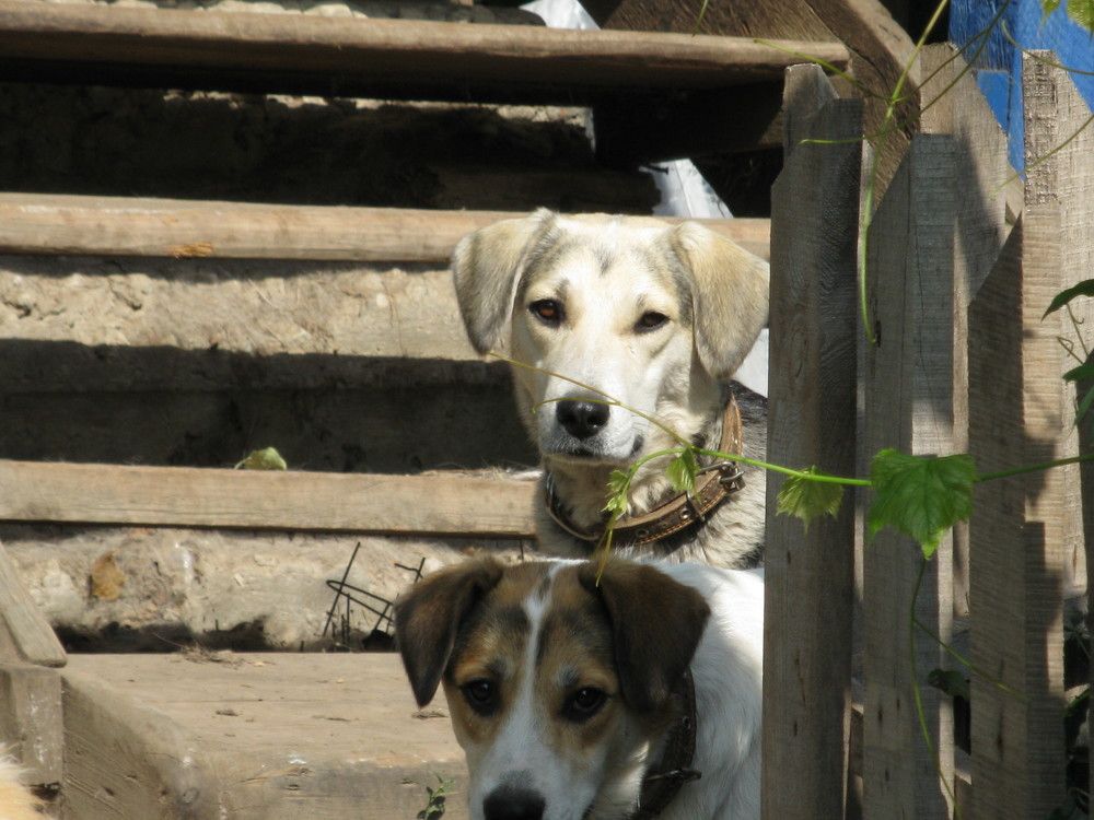Photo #8996696