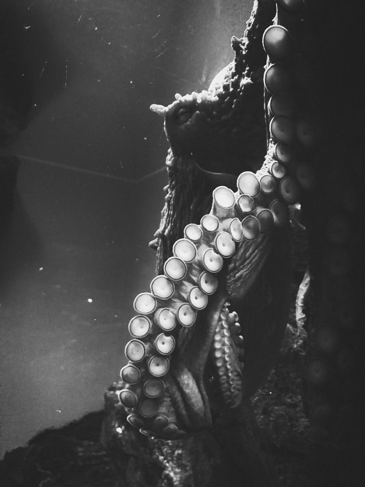 Photograph by Волкова Полина