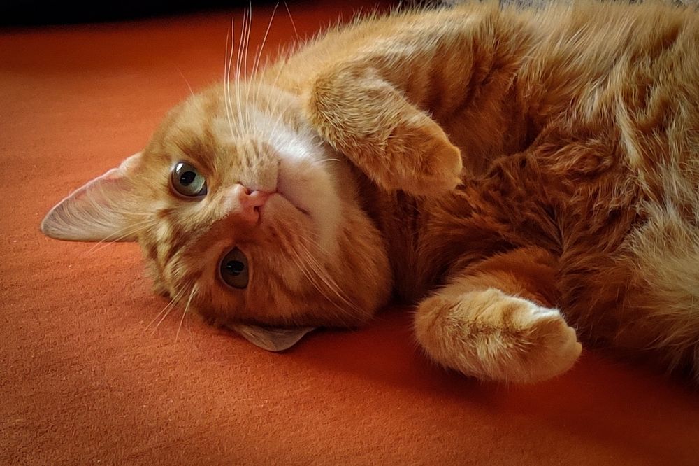 Photograph by Ольга Тюрина