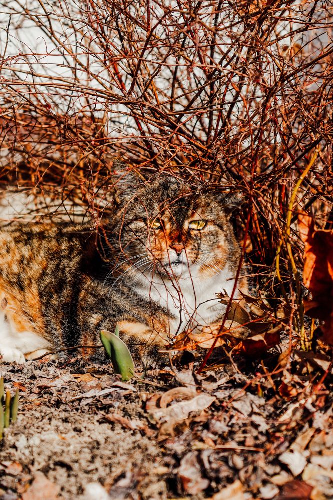 Photograph by PAVEL ARSENOVICH