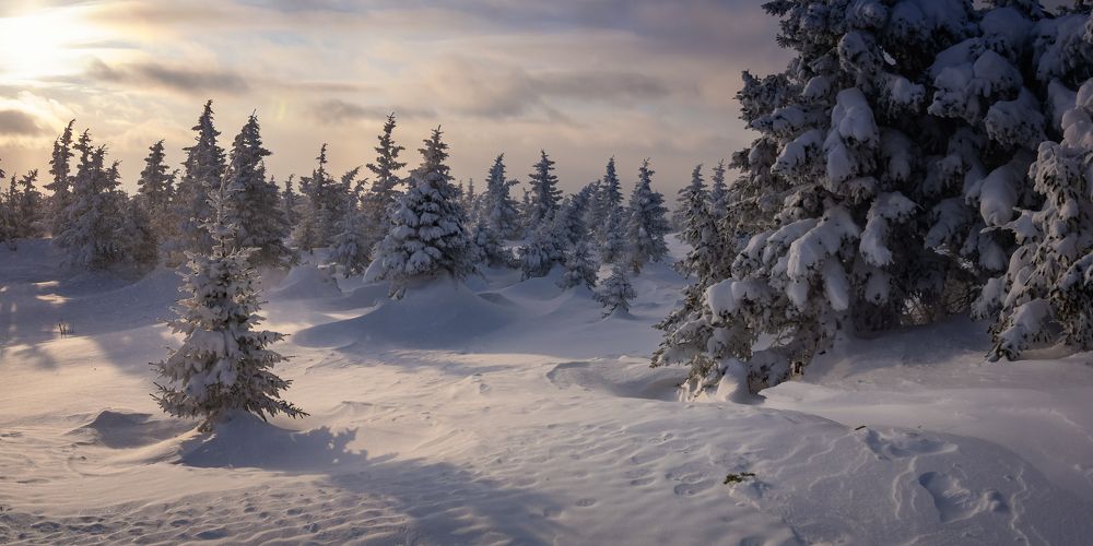 Фотография автора Александр Рудный