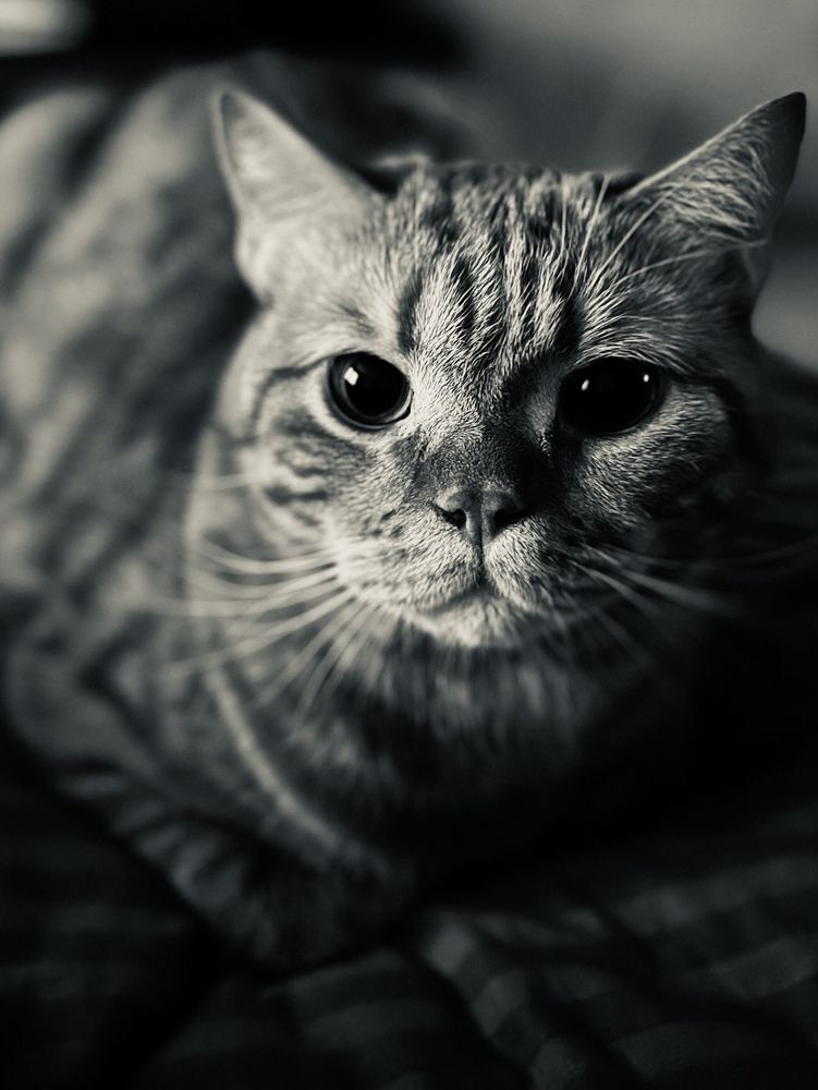 Photograph by Анна Дорофеева